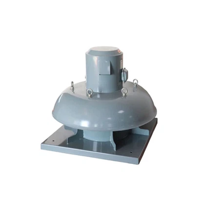 product-800-800 product-800-800