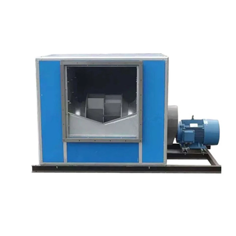 product-800-800